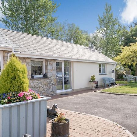 Ash Cottage 兰特威特马哲 外观 照片